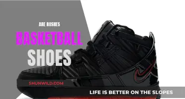 The Roshe: Basketball Shoes or Not?