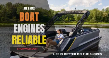 Rotax Boat Engines: Reliable Power or Untrustworthy Machines?