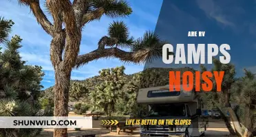 Are RV Camps Noisy? Exploring the Sounds of Campground Life
