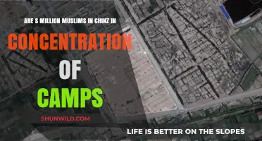 China's Muslim Detention Camps: Unveiling the Uyghur Crisis