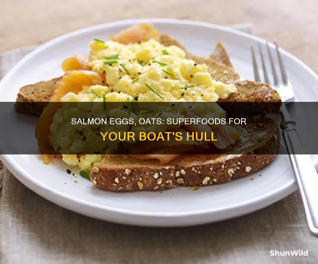 are salmon eggs and oats good for your boat