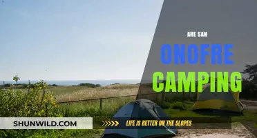 Discover San Onofre Camping: Tips, Spots, and Adventure Guide