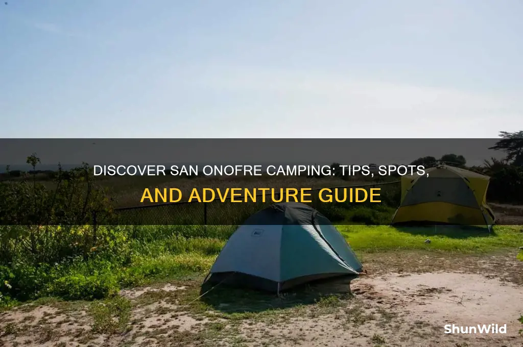 are san onofre camping