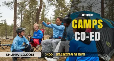 Are Scout Camps Co-Ed? Exploring Gender Inclusivity in Scouting