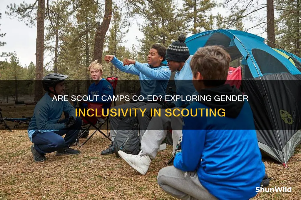 are scout camps co-ed