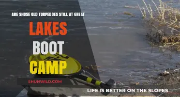Old Torpedoes at Great Lakes Boot Camp: Fact or Fiction?