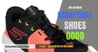 Skechers Basketball Shoes: Are They Worth the Hype?