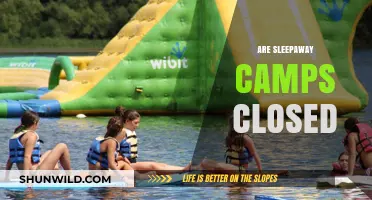 Are Sleepaway Camps Closed? Current Status and Alternatives for Summer Fun