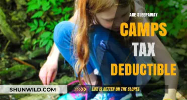 Are Sleepaway Camps Tax Deductible? What Parents Need to Know