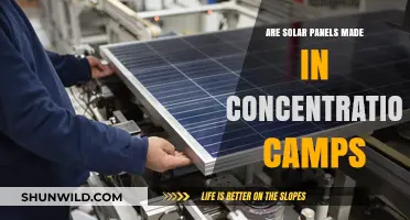 Debunking the Myth: Solar Panels and Concentration Camps Connection