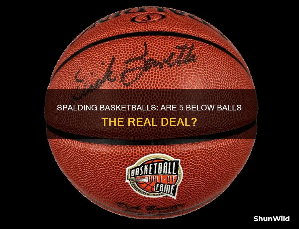 are spalding basketball from 5 below real