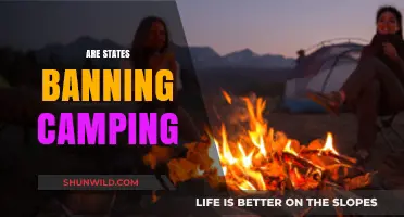 Are States Banning Camping? Exploring Restrictions and Their Impact