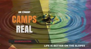 Unveiling the Truth: Are Straight Conversion Camps a Reality?