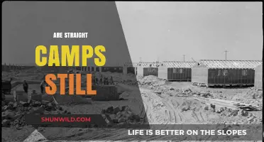 Are Straight Camps Still Relevant in Today's Society?