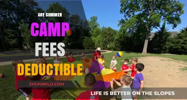 Can Summer Camp Fees Be Tax Deductible? A Parent's Guide