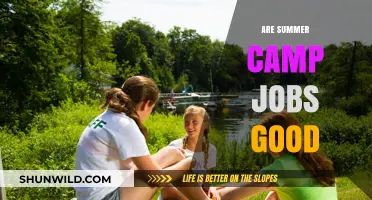 Are Summer Camp Jobs Worth It? Pros, Cons, and Insights