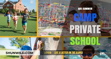 Exploring the Connection Between Summer Camps and Private Schools