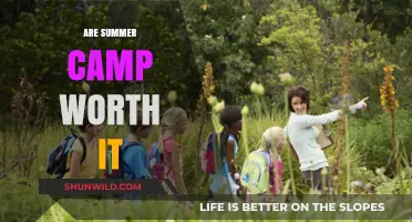 Summer Camps: Are They Worth the Investment and Effort?