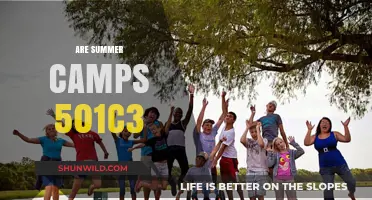 Are Summer Camps 501c3? Understanding Nonprofit Status for Camps