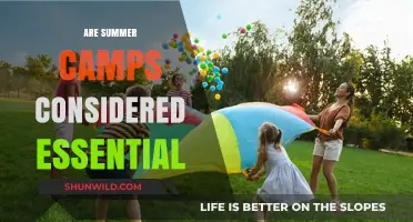 Are Summer Camps Essential for Child Development and Social Growth?
