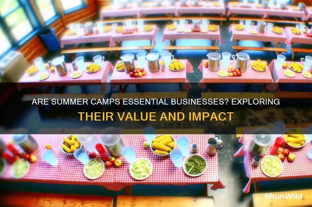are summer camps essential business