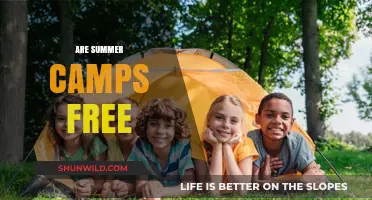 Are Summer Camps Free? Exploring Costs and Affordable Options