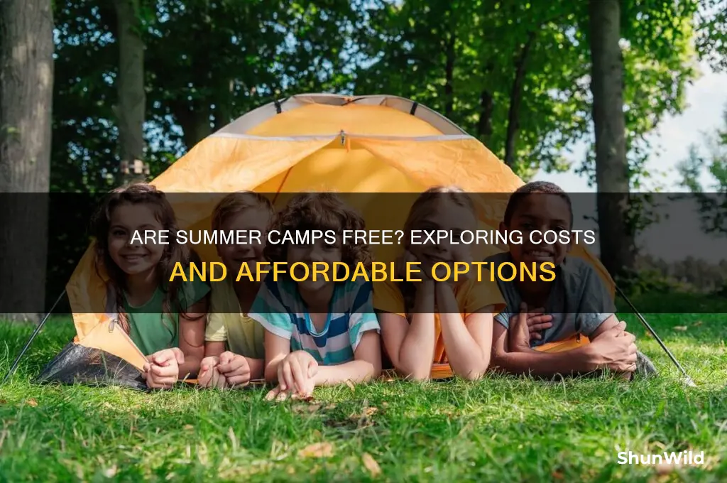 are summer camps free
