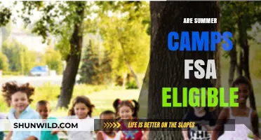 Are Summer Camps FSA Eligible? A Parent's Guide to Expense Coverage