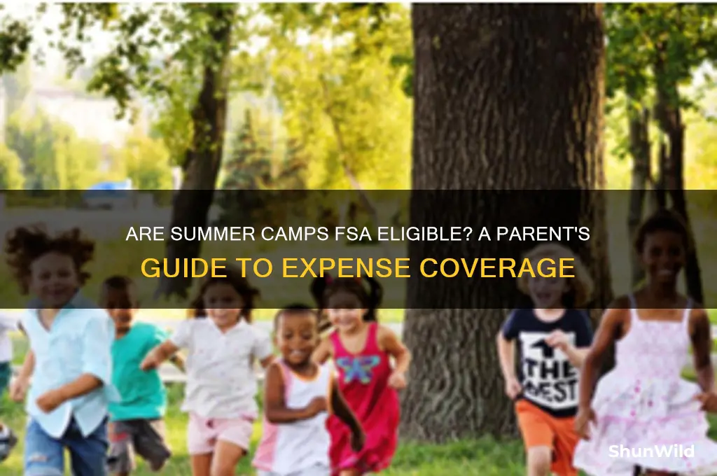 are summer camps fsa eligible