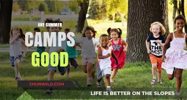 Are Summer Camps Beneficial for Kids? Exploring Pros and Cons