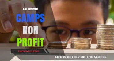 Are Summer Camps Non-Profit? Exploring the Financial Structure of Camps