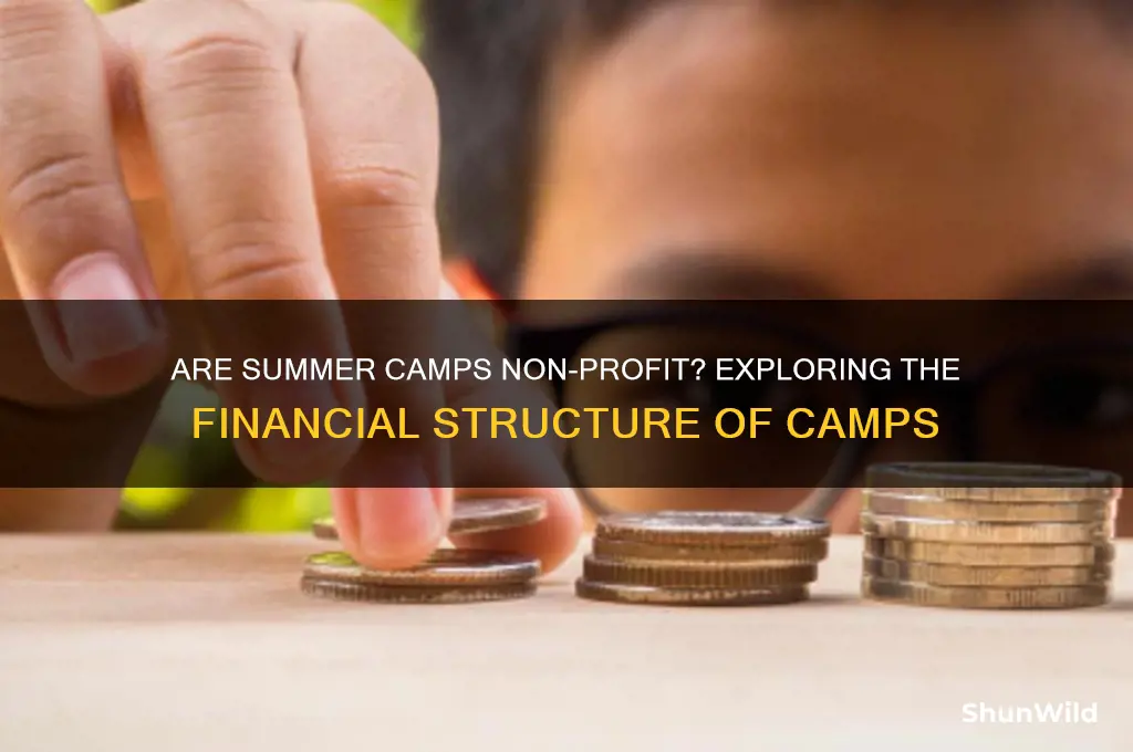 are summer camps non profit