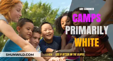 Are Summer Camps Exclusively White? Exploring Diversity in Outdoor Programs