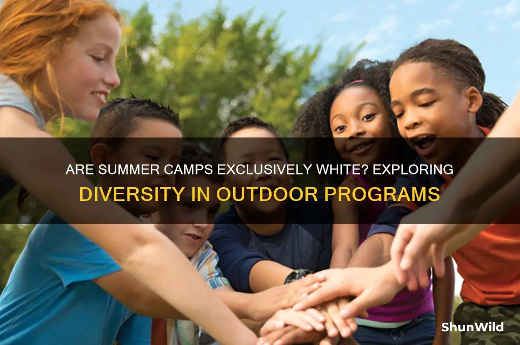 are summer camps primarily white