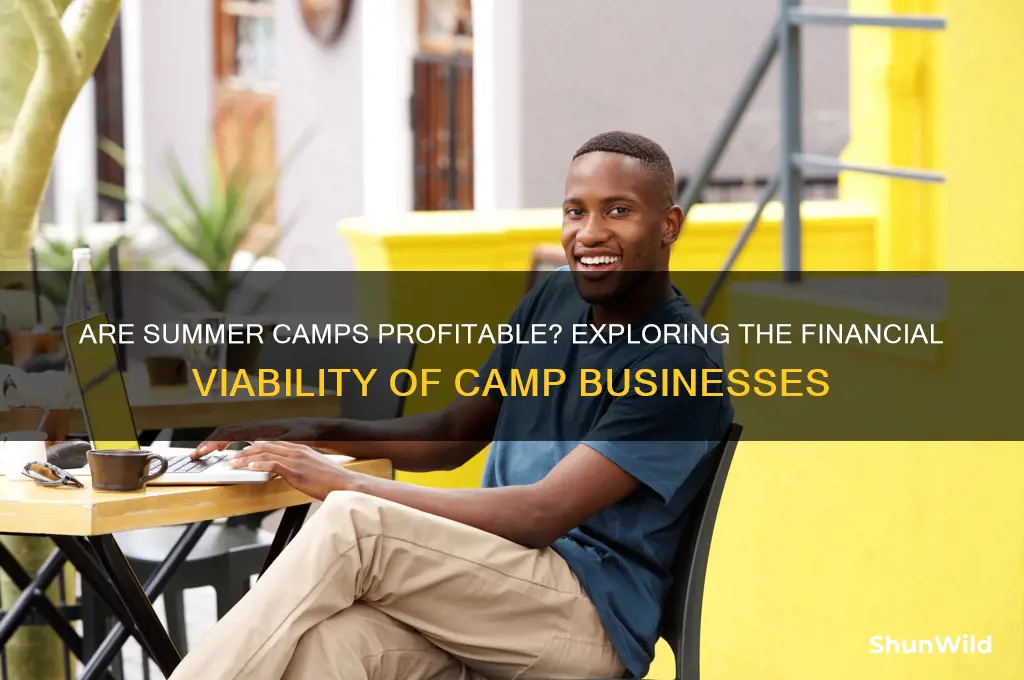 are summer camps profitable