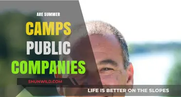 Are Summer Camps Public Companies? Exploring Ownership and Structure