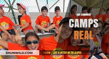 Are Summer Camps Real? Unveiling the Truth Behind the Myth