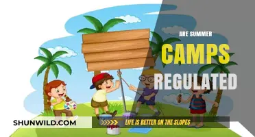 Are Summer Camps Regulated? Understanding Safety Standards and Oversight