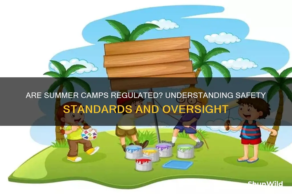 are summer camps regulated