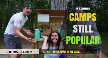 Are Summer Camps Still a Hit? Trends and Popularity Today