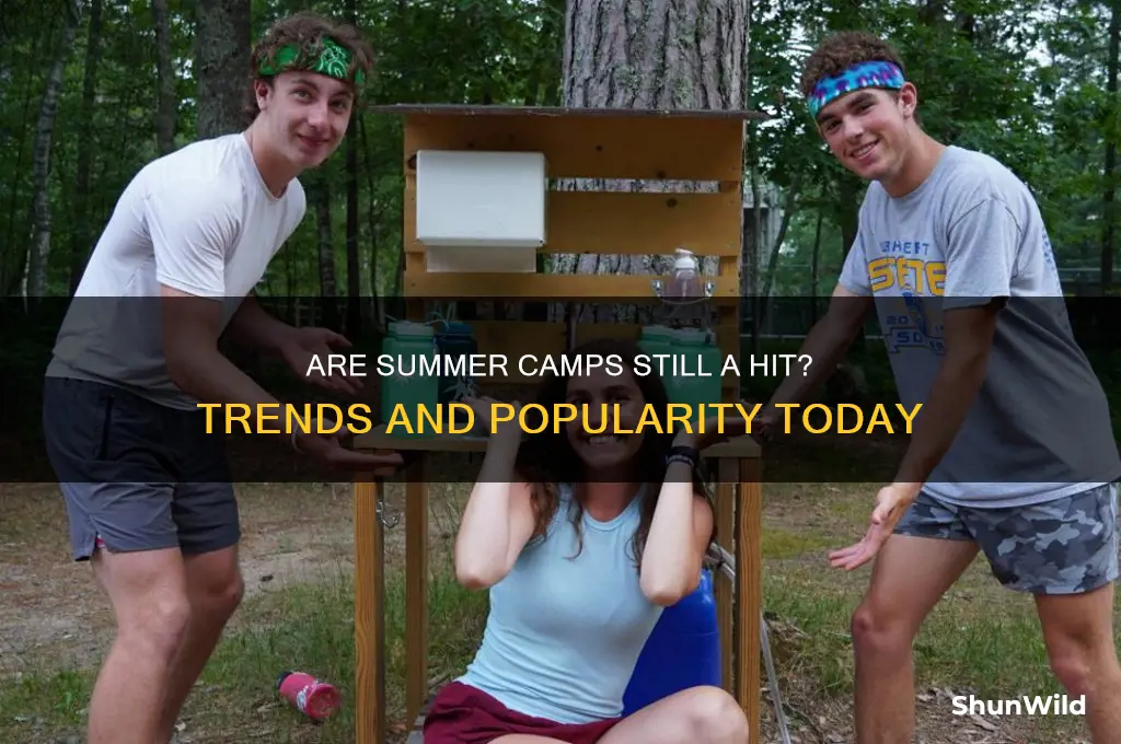 are summer camps still popular