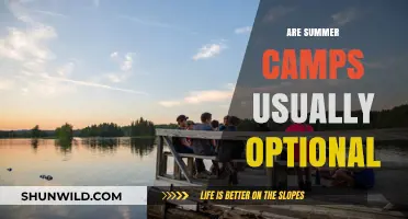 Are Summer Camps Optional? Exploring Attendance Choices for Kids