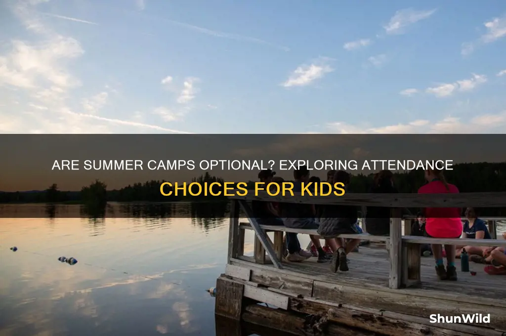 are summer camps usually optional