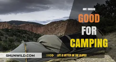 Are Swags Good for Camping? Pros, Cons, and Expert Tips