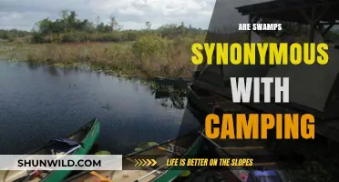 Swamps and Camping: Exploring the Unexpected Synergy of Wetland Adventures