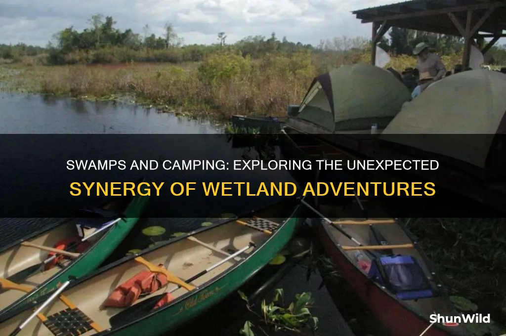 are swamps synonymous with camping