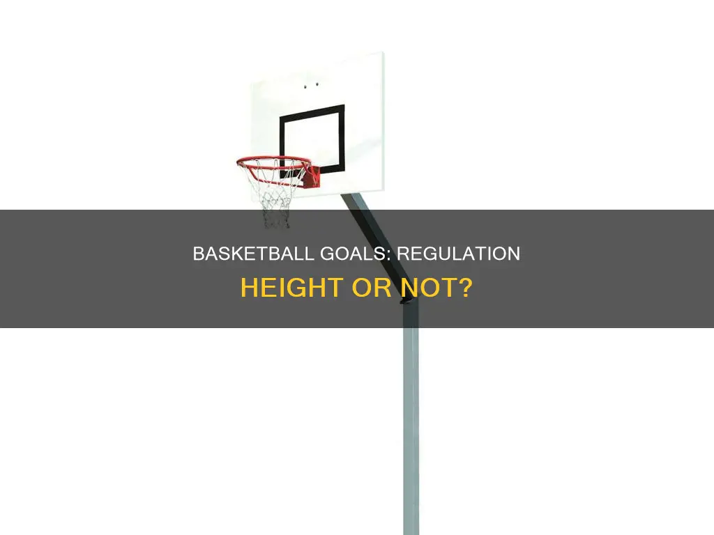 are the 54 inch basketball goal regulation height