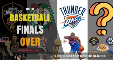 Basketball Finals: What's Next?