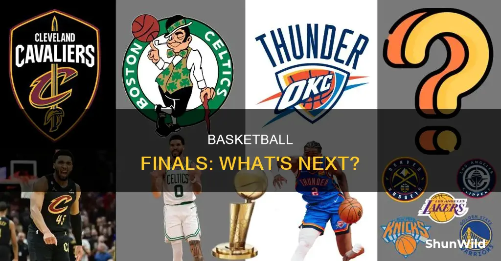 are the basketball finals over
