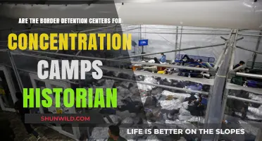 Are Border Detention Centers Modern-Day Concentration Camps? Historians Weigh In